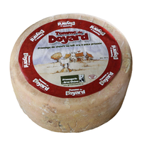 TOMME DU DOYARD G-CH*