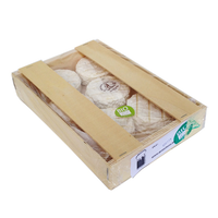 BIQUEDON BIO X 6 G-CH *