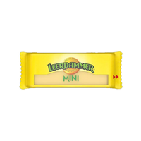 MINI LEERDAMMER 160X20G