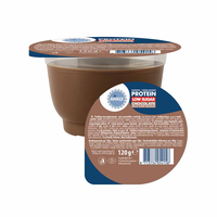 ANKLY PUDDING CHOCO 120G
