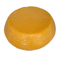 GELBE RIGATELLO S/V