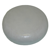 GOUDA DE CHEVRE ARINA JEUNE