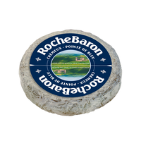 ROCHEBARON - 39580