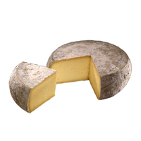 KNOFLOOK TOMME