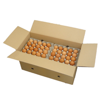 OEUFS 'XL' BRUNS X 200 (CART.)