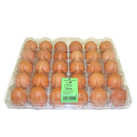 EIER 'M' BRAUN X30 (PLASTIC)