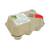 OEUFS PLEIN AIR 'TV' BRUNS 6PC