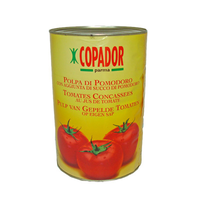 TOMATES CONCASSEES 5L