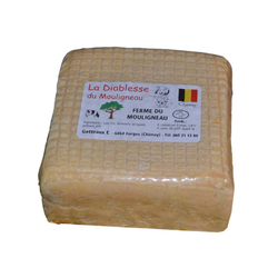 LA DIABLESSE DU MOULIGNEAU 