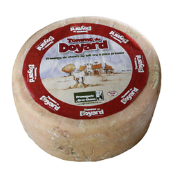 TOMME DU DOYARD G-CH*