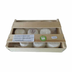 LI P'TIT GATLI BIO X 9 G-CH *      