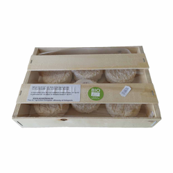 BIQUEDON BIO X 6 G-CH *