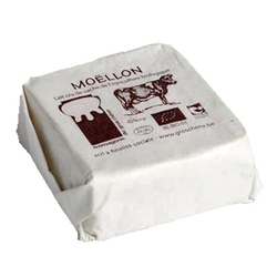 MOELLON G-CH*