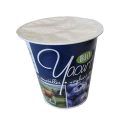 YOG. BIOFERM BOSBESSEN 125GR*