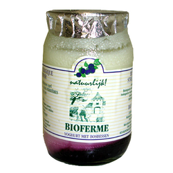 YOG.BIOFERM.MG.MYRTILL.8X150G*