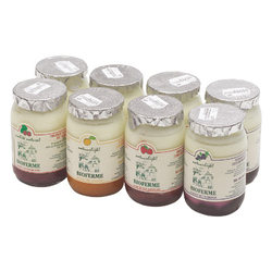 YOG.BIOFERM.AB/FR/FB/MY 8X150G*