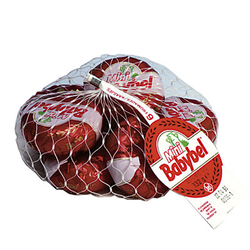 MINI BABYBEL 6X20GR