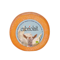 CABRIOLAIT *