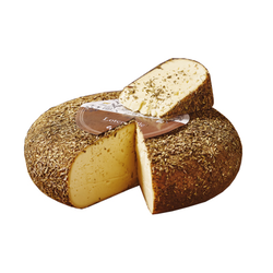 LOTENHULLE GRUIT