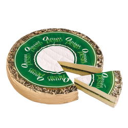 OLIVIANA PESTO