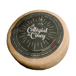COLLEGIAL DE CINEY