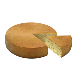 RACLETTE PERRIN AIL DES OURS 1/1
