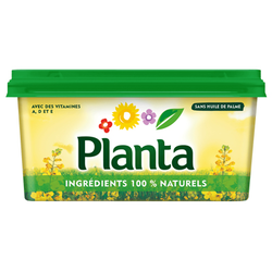 MARGARINE PLANTA RAVIER 500GR