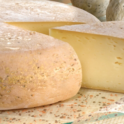 BERGUES FERMIER 2,7 KG