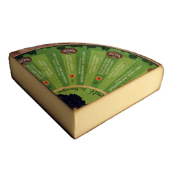 COMTE VAGNE HAVAGNE 6-8M 1/4 AOP CRYO