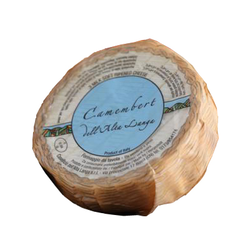 CAM. ALTA LANGA 250GR