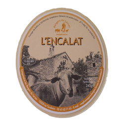 BREBIS ENCALAT 240G