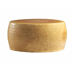 GRANA PADANO 10M 1/1