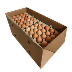 OEUFS PLEIN AIR XL X200 (CART)