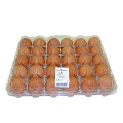 OEUFS 'L' BRUNS X30 (PLASTIC)