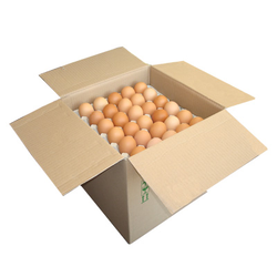 OEUFS BIO 'TV' 90 PC*