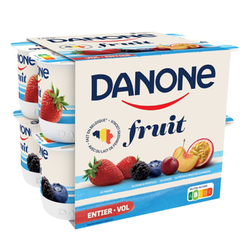 YOG.NUTRIDAY PAN.ENTIER 12X125G
